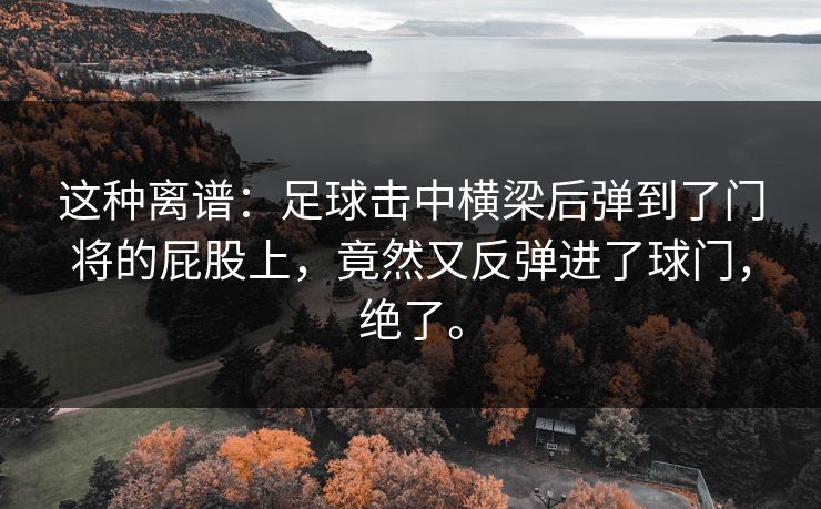 这种离谱：足球击中横梁后弹到了门将的屁股上，竟然又反弹进了球门，绝了。